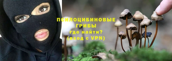 прущий лед Осинники