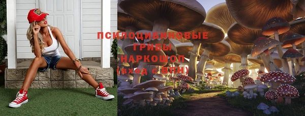 эйфоретик Нягань